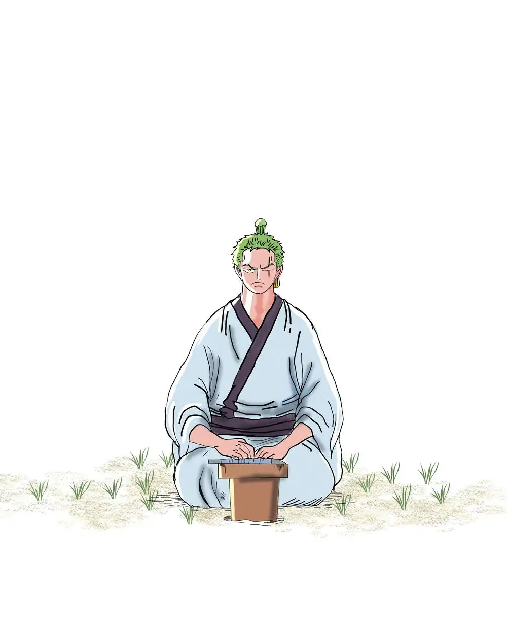 hình ảnh zoro one piece 