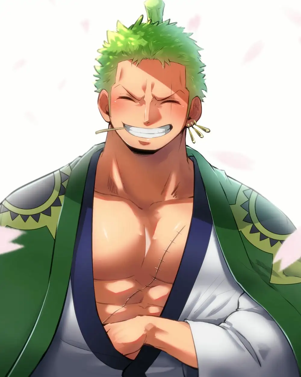 ảnh zoro anime 
