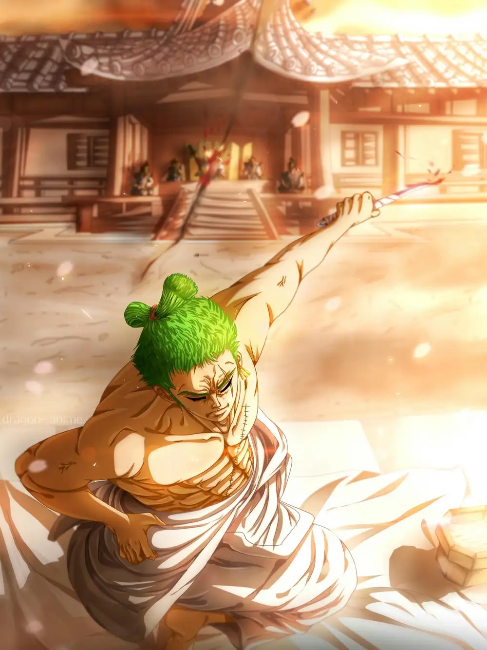 zoro anime one piece 