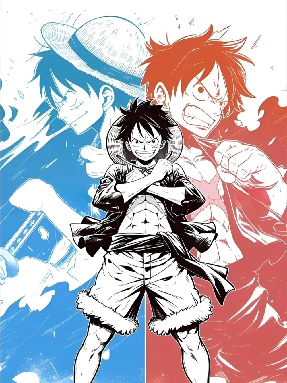luffy anime 5