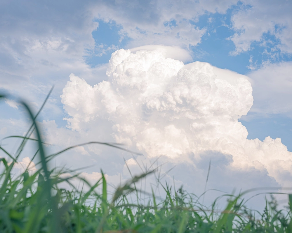 bình yên anime gợi nhớ ký ức