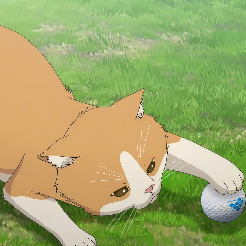 ảnh anime mèo dễ thương 