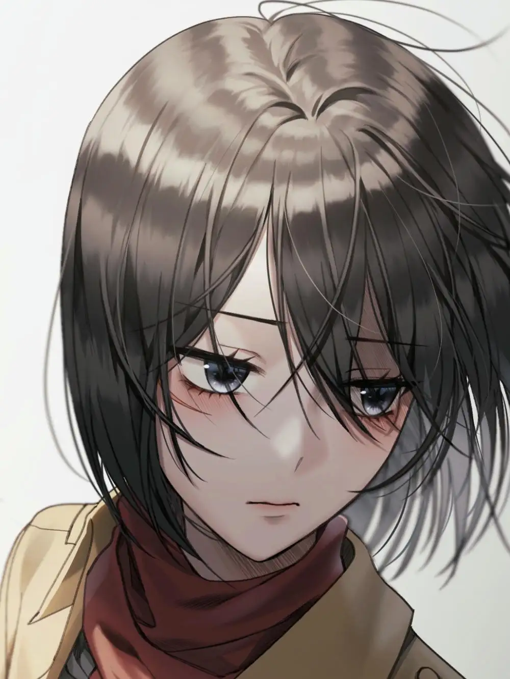 hình ảnh mikasa ấn tượng 