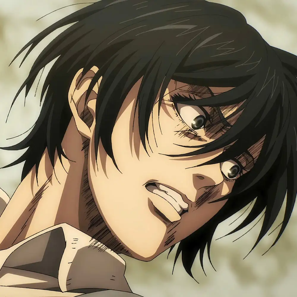 ảnh mikasa tức giận 