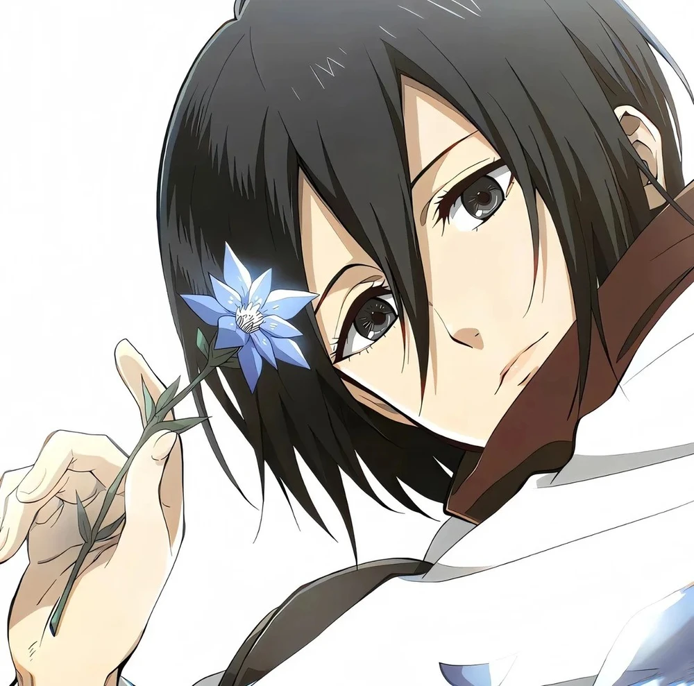ảnh mikasa 4k