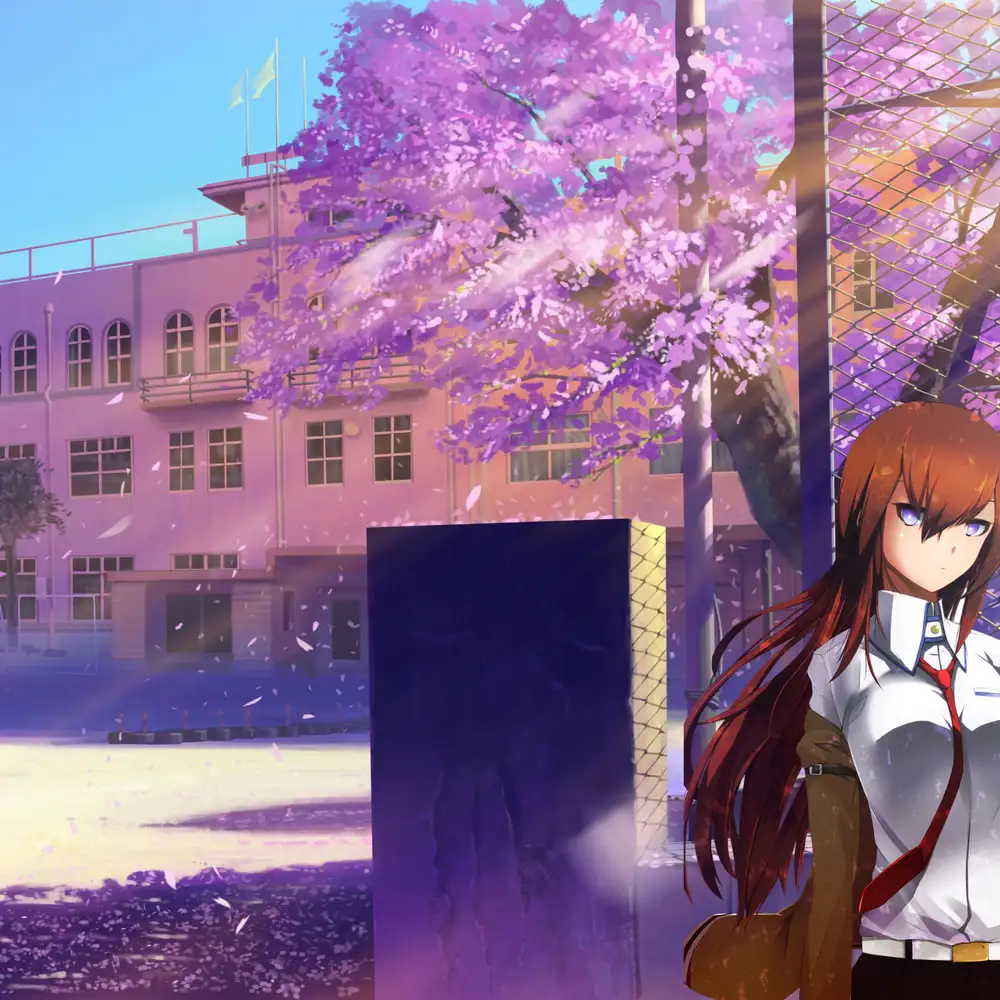 hoa anh đào mùa xuân tươi đẹp 