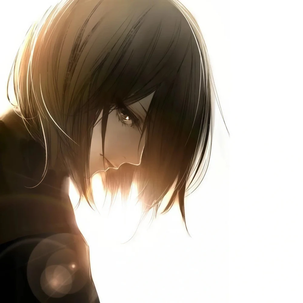 hình ảnh mikasa