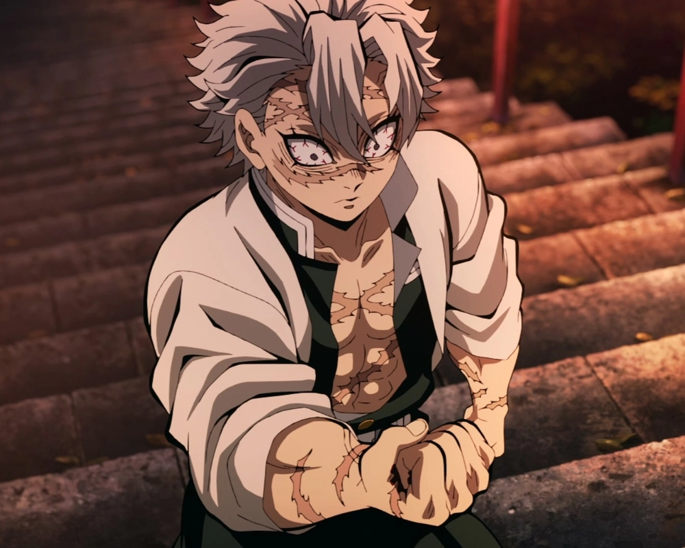 hình ảnh sanemi full HD 