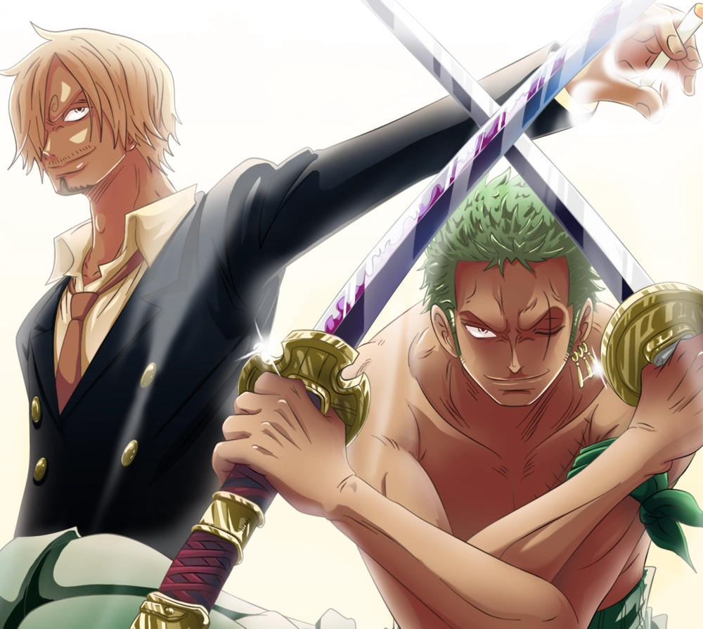 ảnh zoro và sanji trong anime