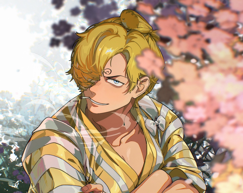 ảnh anime sanji cực chất