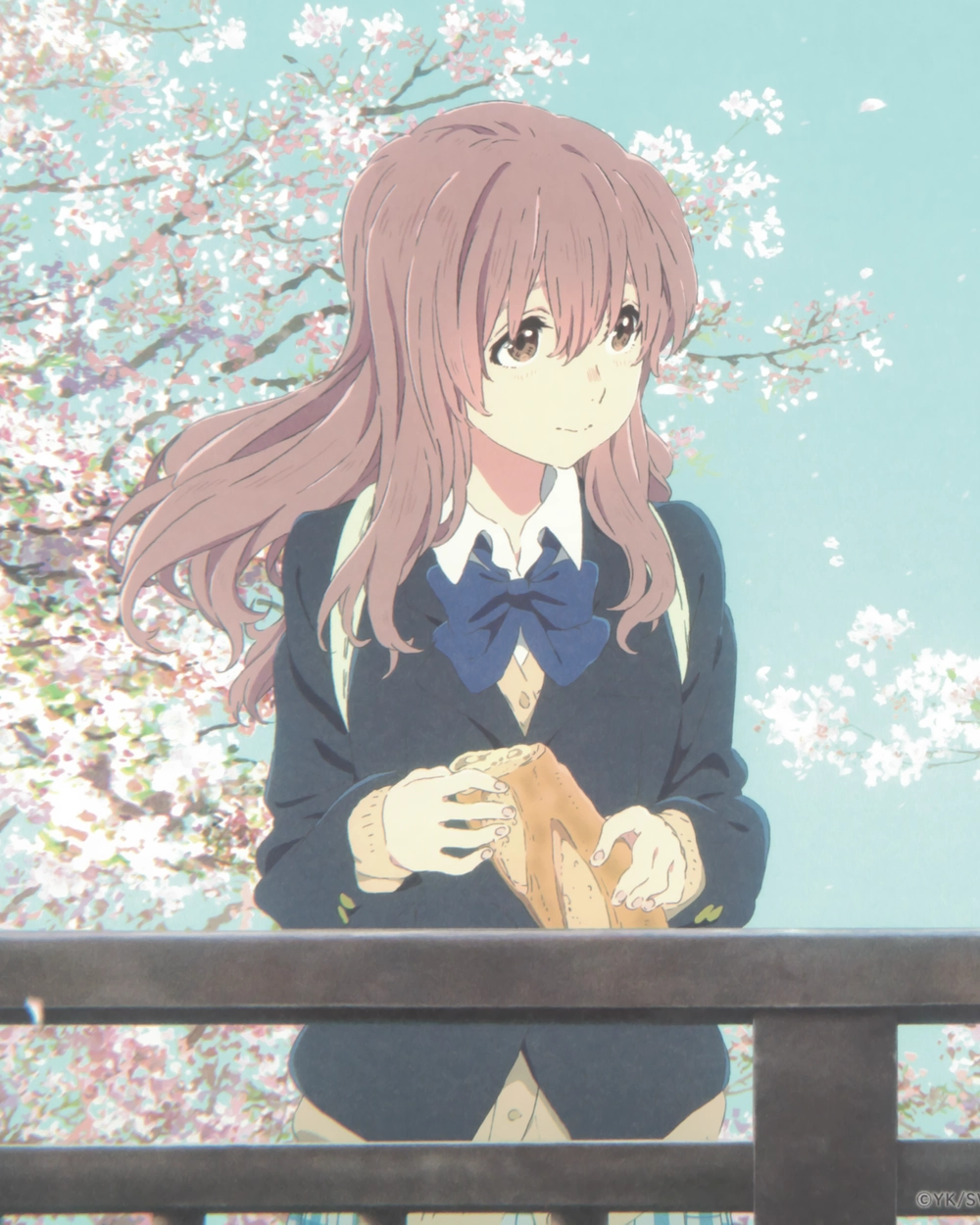 hình shouko nishimiya xinh xắn