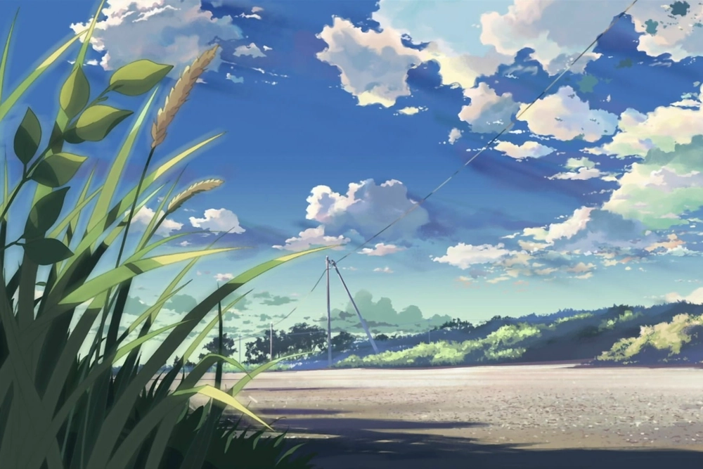 ảnh 5cm trên giây 