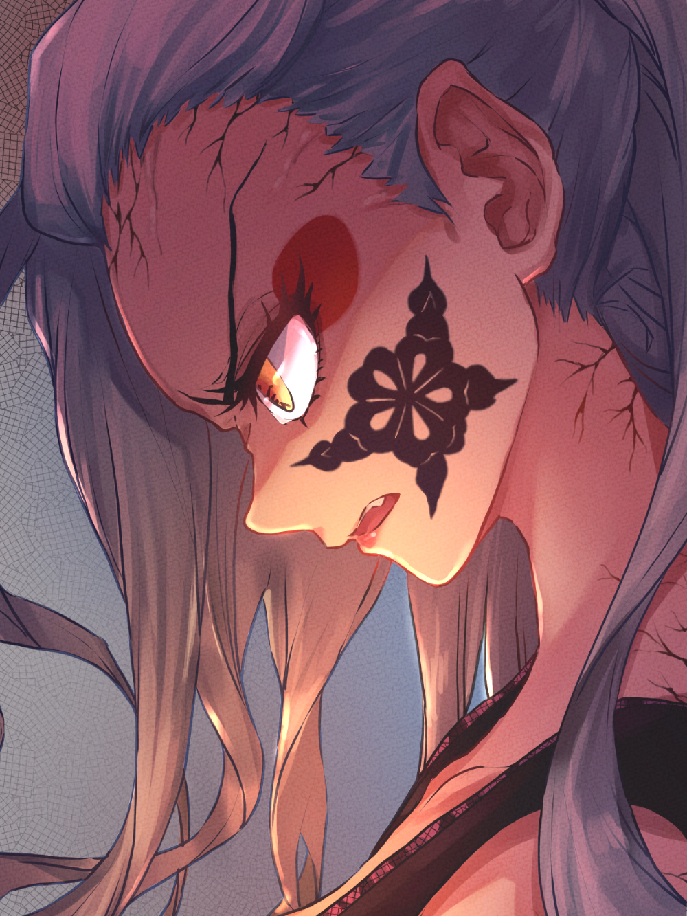 ảnh thượng huyền lục daki