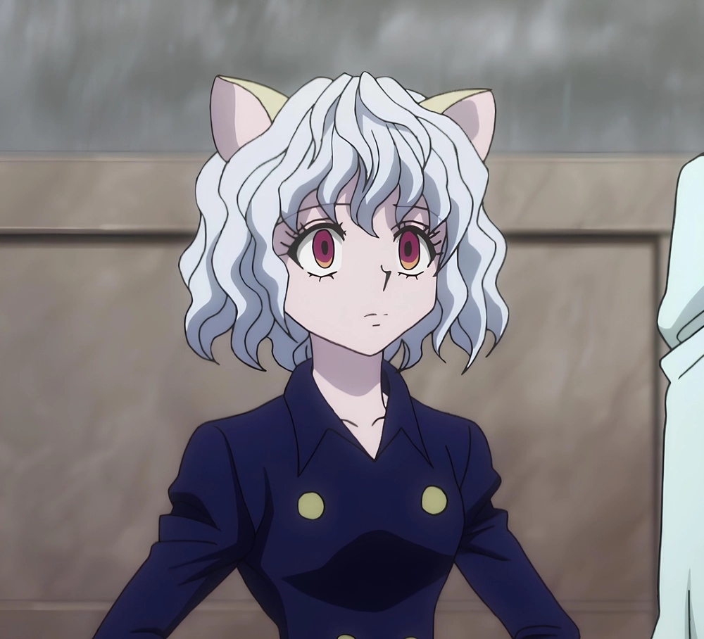 hình hunter x hunter neferpitou