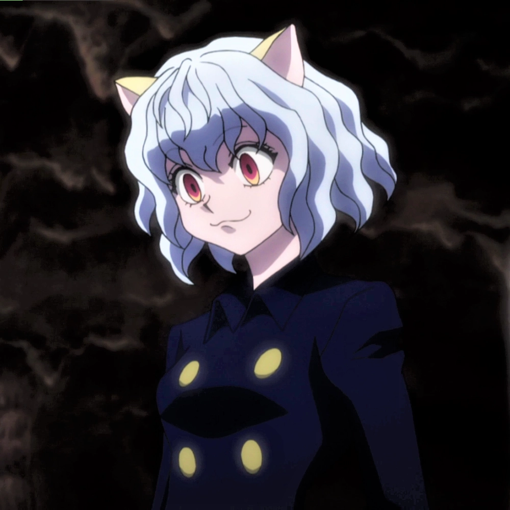 hình ảnh hunter x hunter neferpitou cực sắc nét