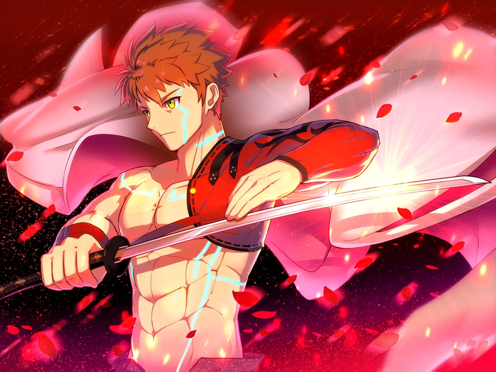 hình Shirou Emiya anime ngầu