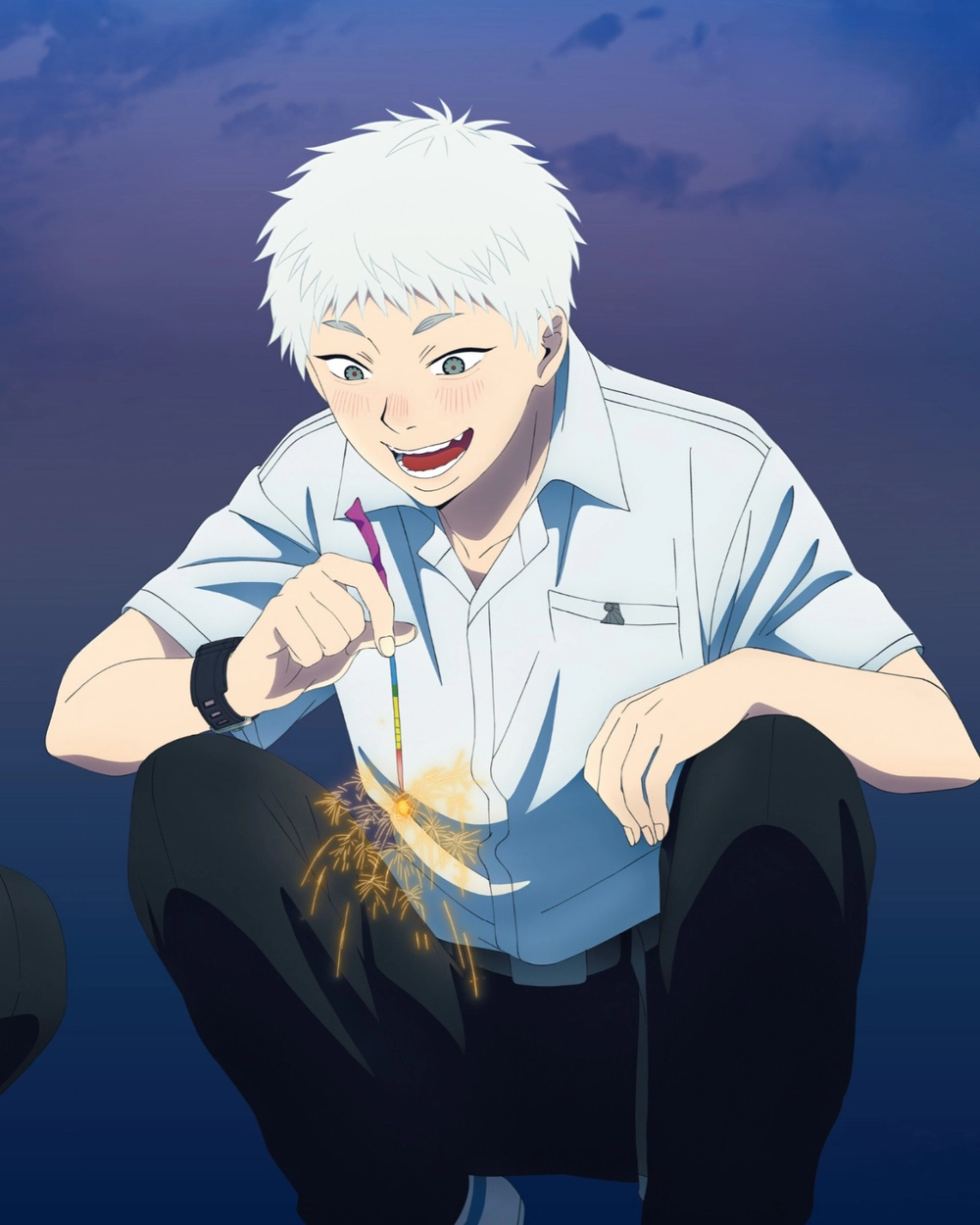 hình hikaru the summer hikaru died