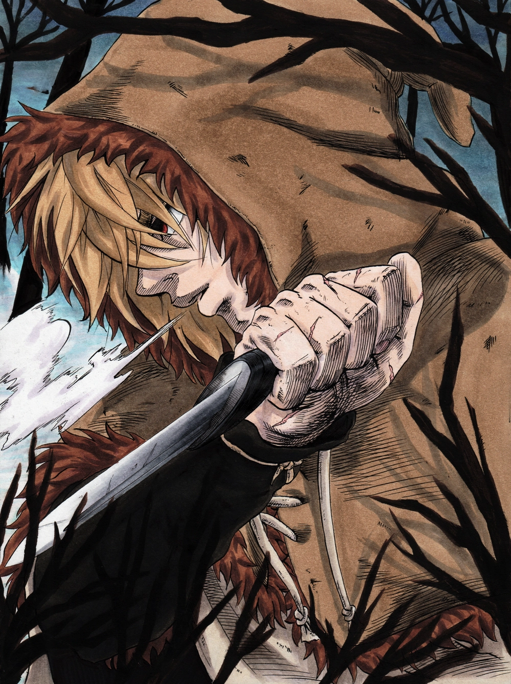 ảnh anime thorfinn chiến đấu
