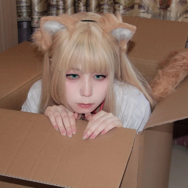 cosplay mèo có đuôi trắng