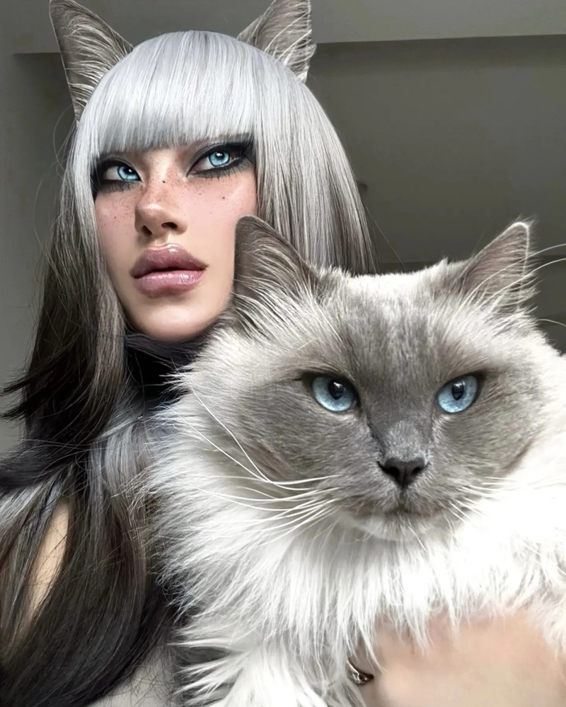 cosplay mèo ai cập