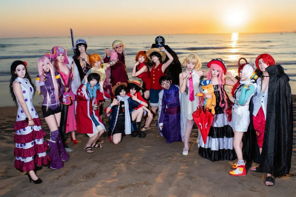 one piece cosplay 9
