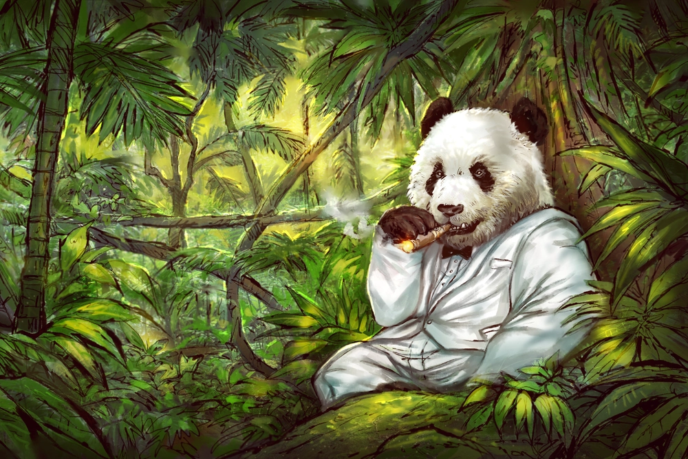 Ảnh gấu trúc anime chibi đáng yêu