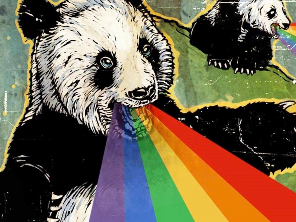 Hình gấu trúc đỏ anime đẹp mắt