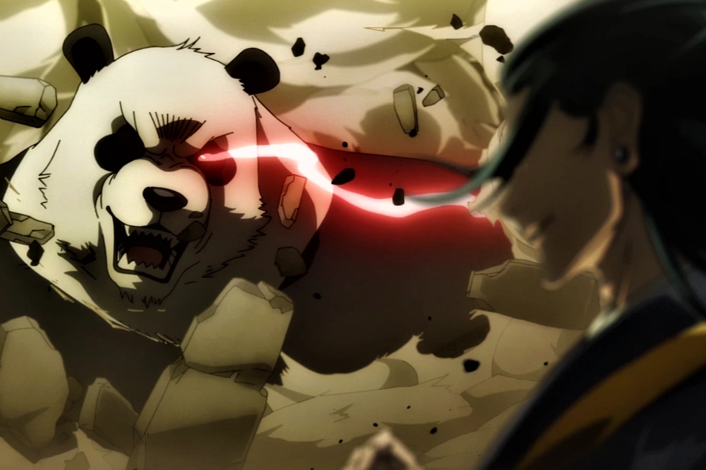 Hình gấu trúc đánh nhau