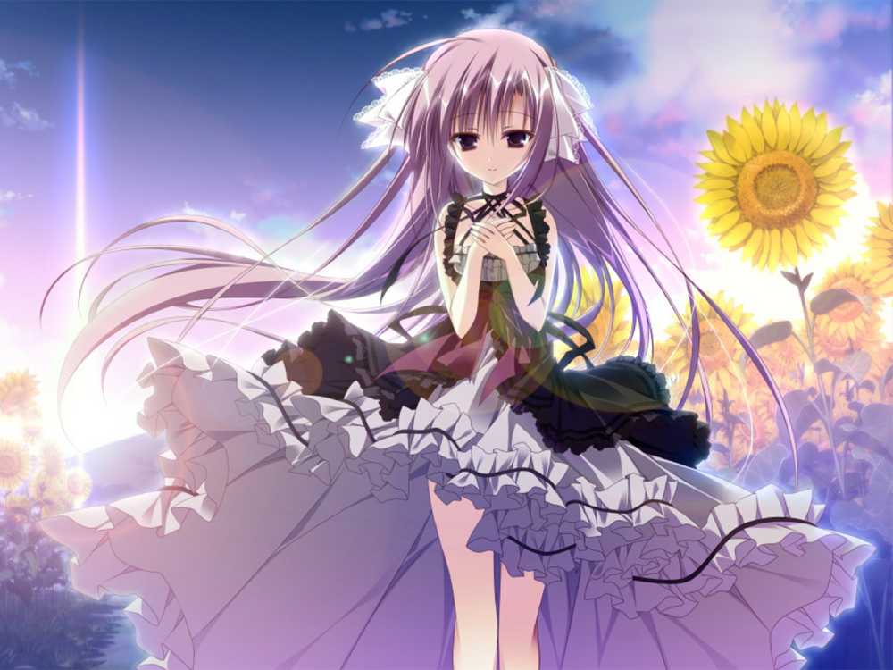 anime hoa hướng dương mùa hạ lãng mạn