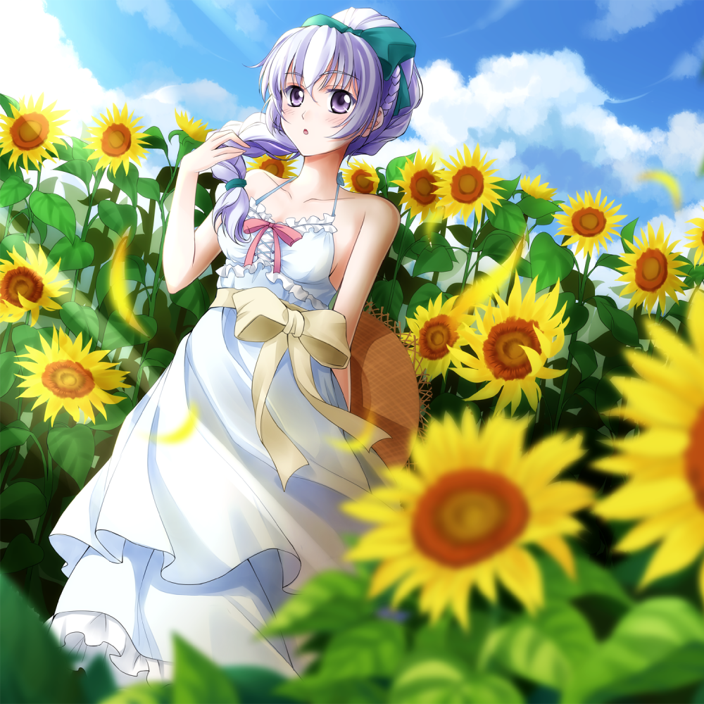 hoa hướng dương anime nghệ thuật