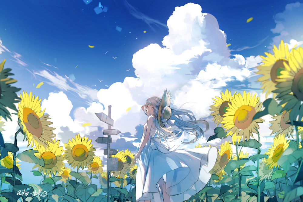 cánh đồng hoa hướng dương anime ấn tượng