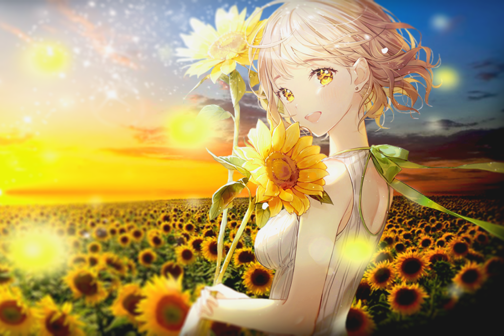 cánh đồng hoa hướng dương anime ấn tượng