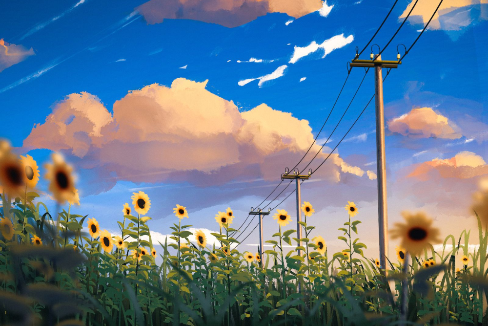 ảnh hoa hướng dương anime tinh tế