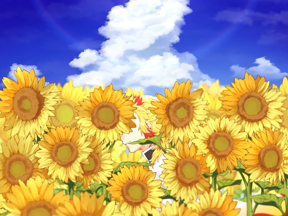 cánh đồng hoa hướng dương anime