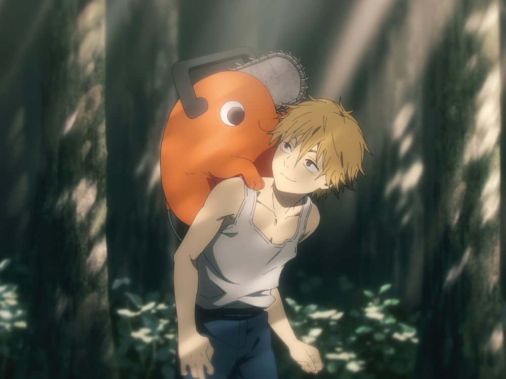 hình đặc biệt của pochita