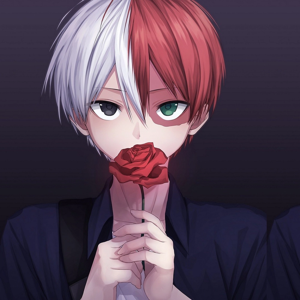 hình todoroki shoto đẹp trai