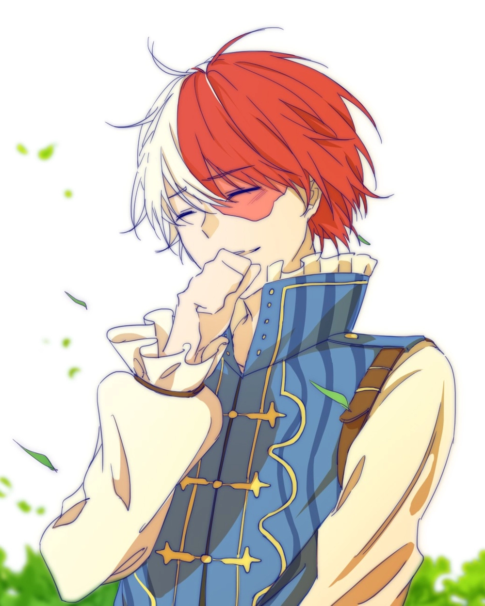 todoroki shoto anime ngầu