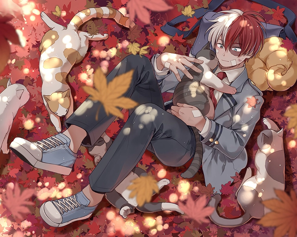 my hero academia shoto todoroki fanmade