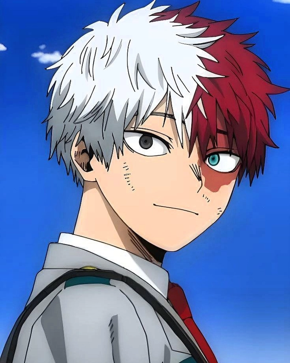 Shoto todoroki cute