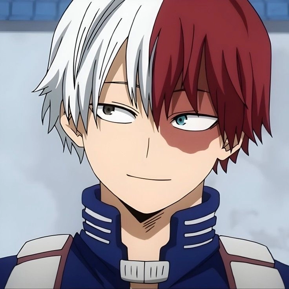 Todoroki Shoto 5