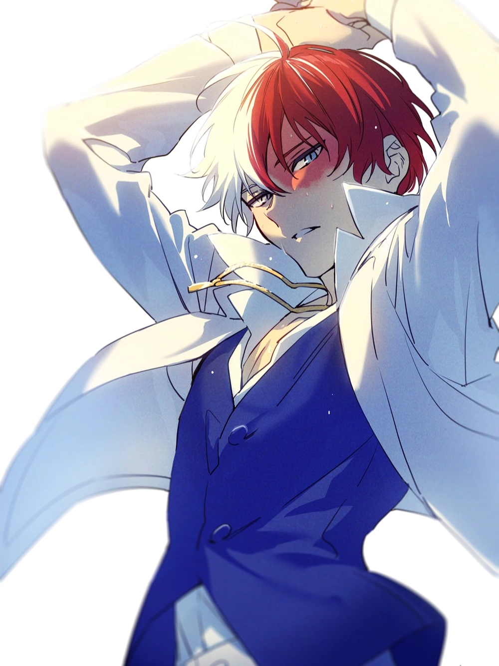 Todoroki Shoto 9