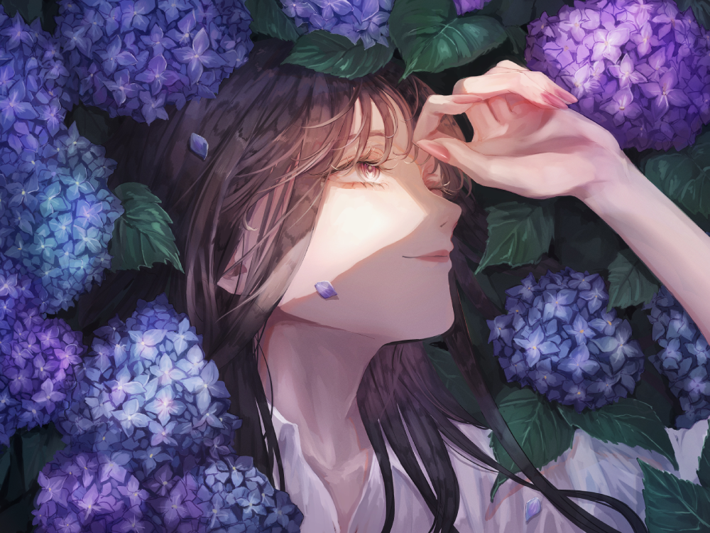 anime hoa cẩm tú cầu chi tiết