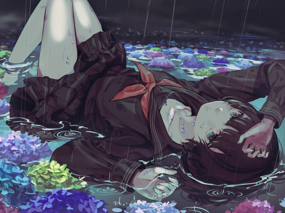 anime hoa cẩm tú cầu lãng mạn