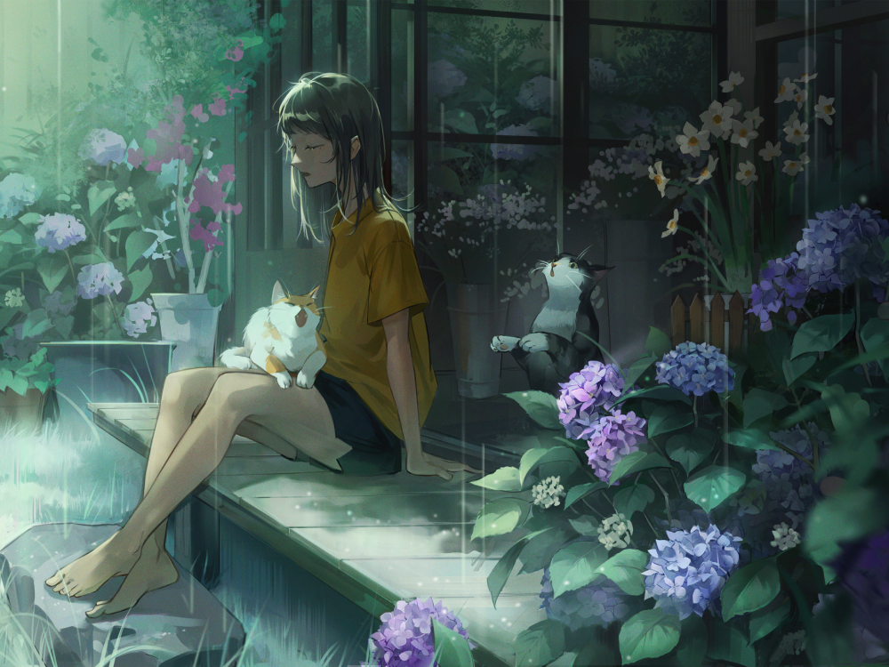 anime hoa cẩm tú cầu nhẹ nhàng