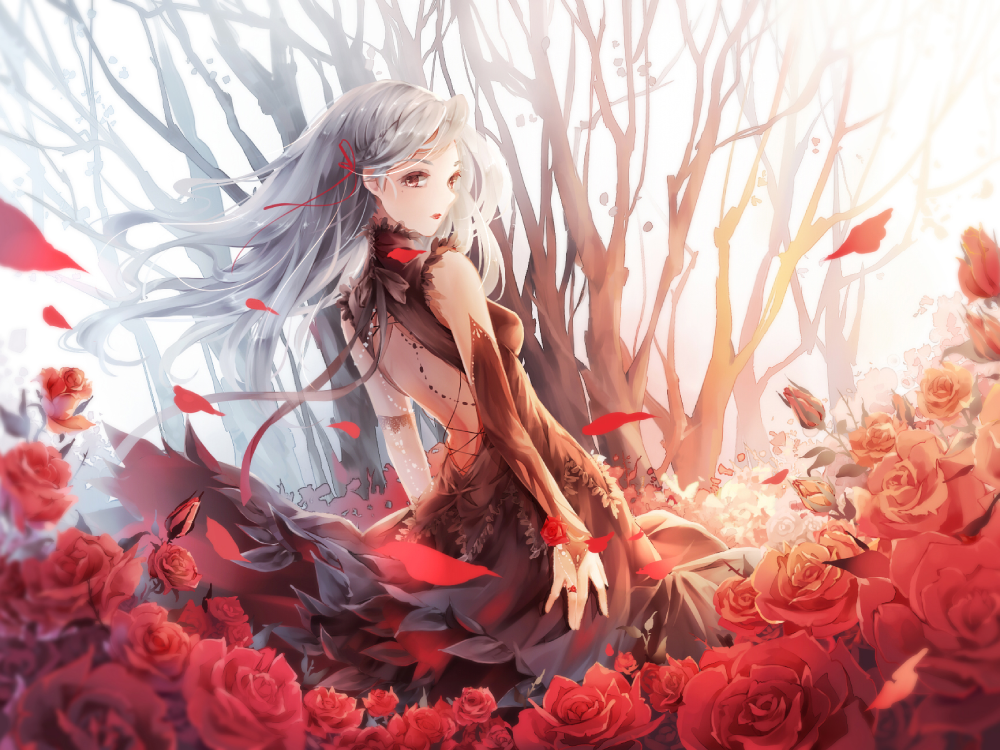 anime hoa hồng ánh sáng tự nhiên