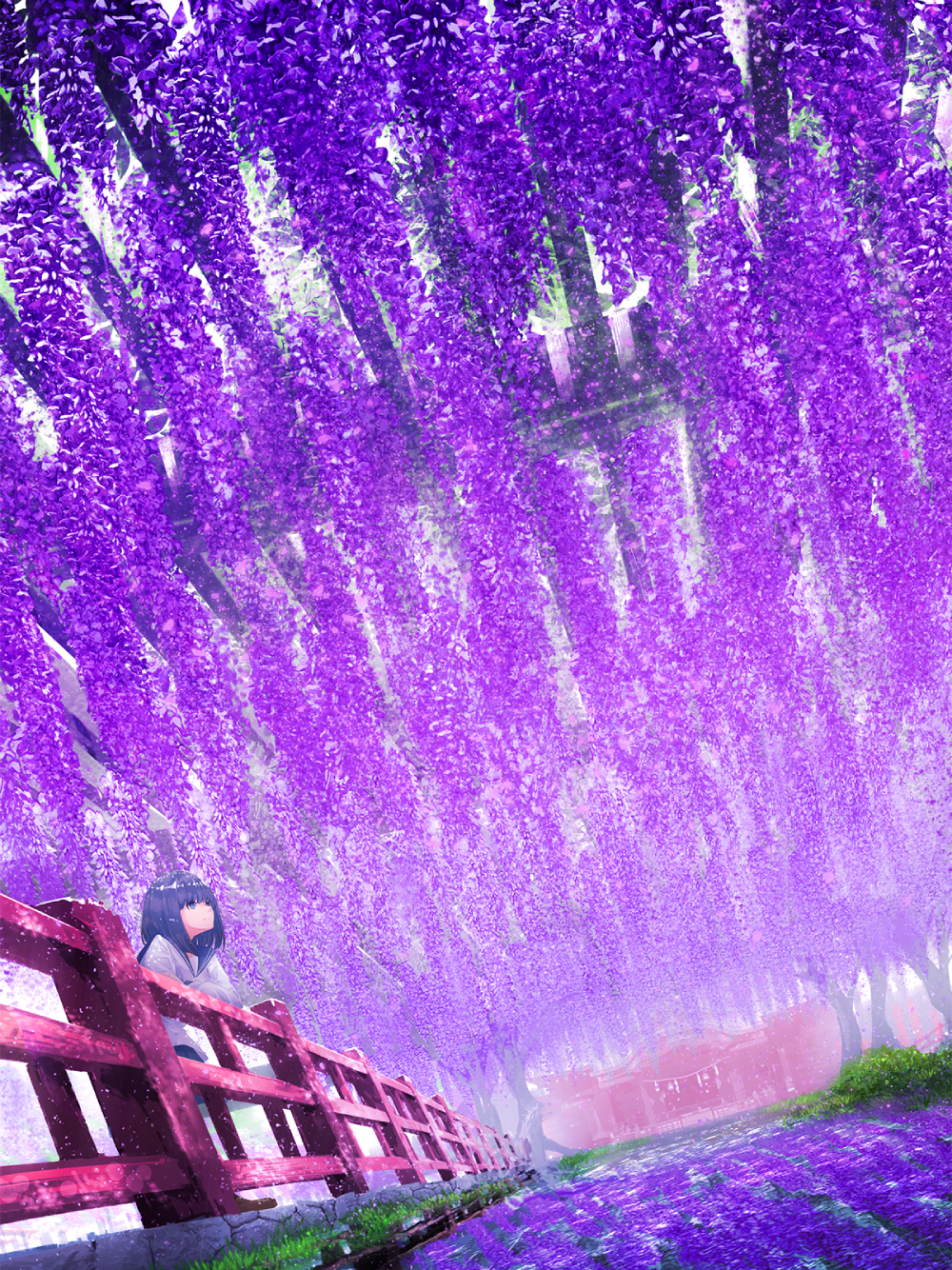 anime hoa tử đằng phối màu đẹp