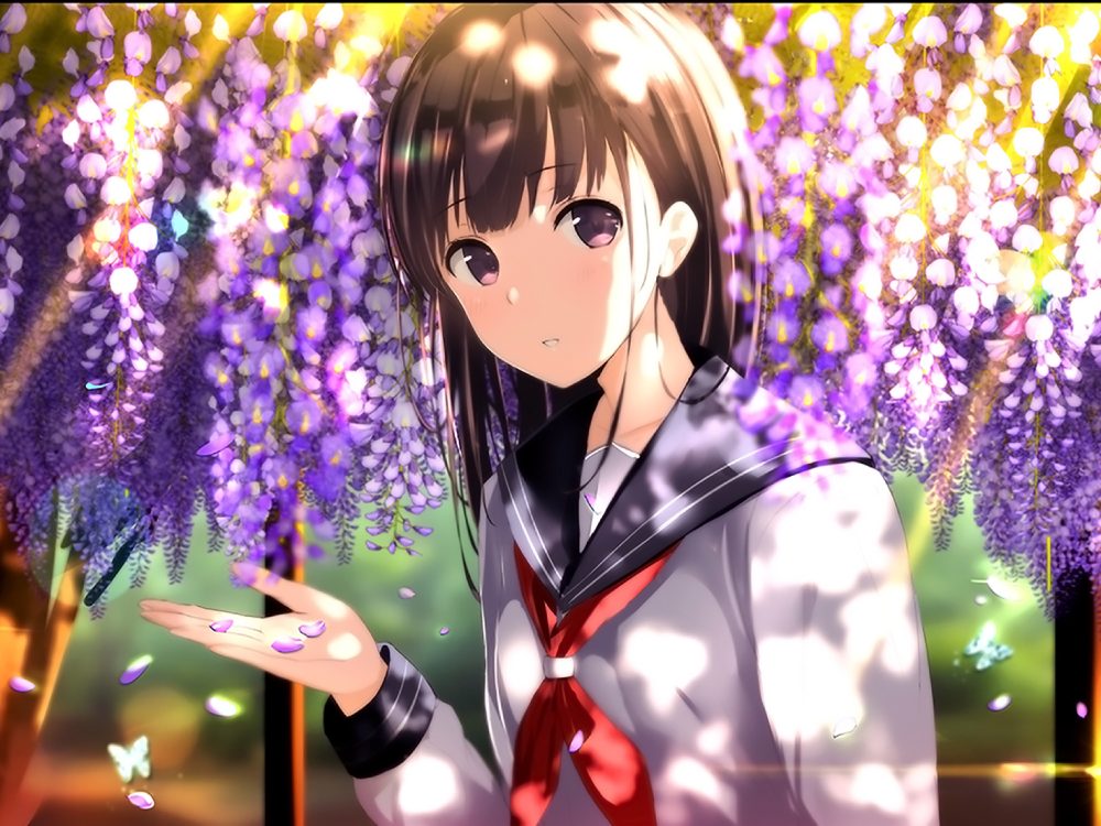 hình ảnh hoa tử đằng anime