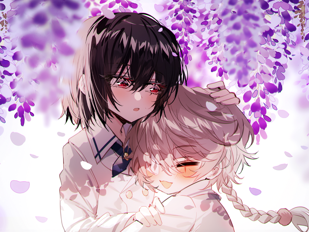 hình nền hoa tử đằng tím