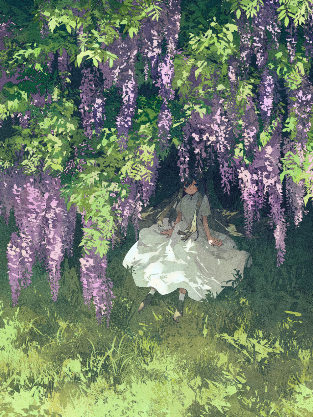 hoa tử đằng anime nền sáng