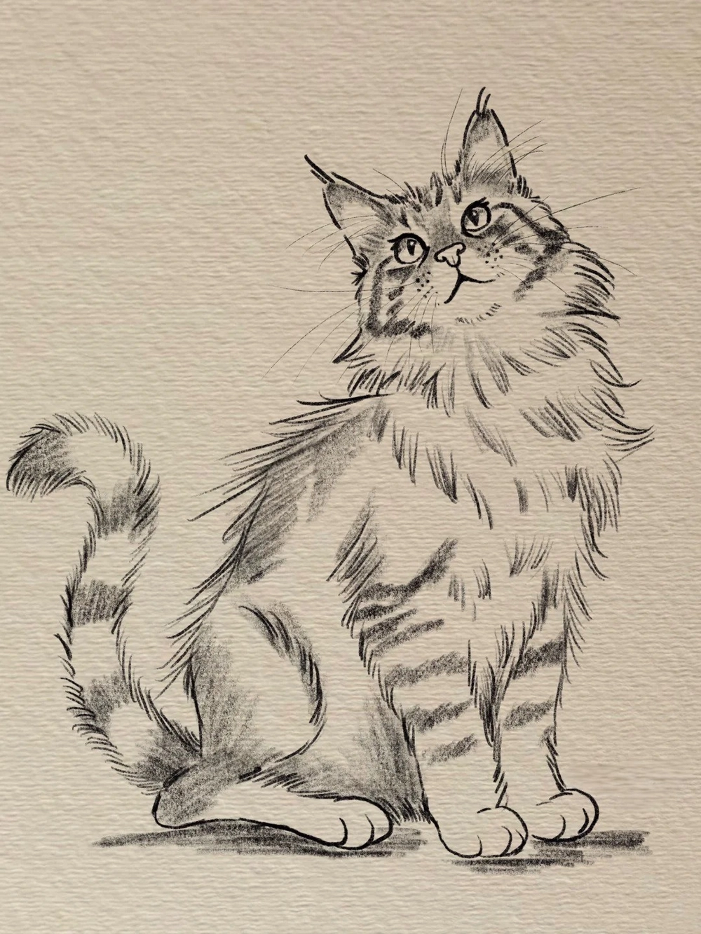 ảnh vẽ anime mèo đẹp